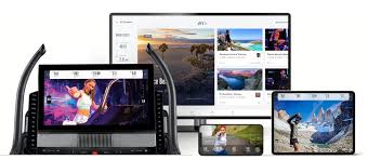 Pro-medlemskab 1 år
