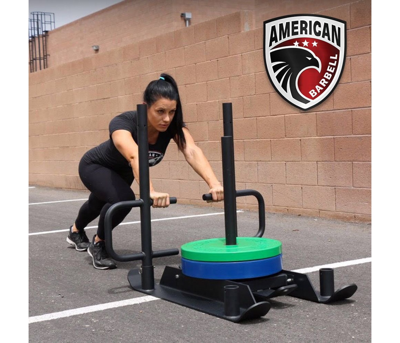 Push/Pull sled