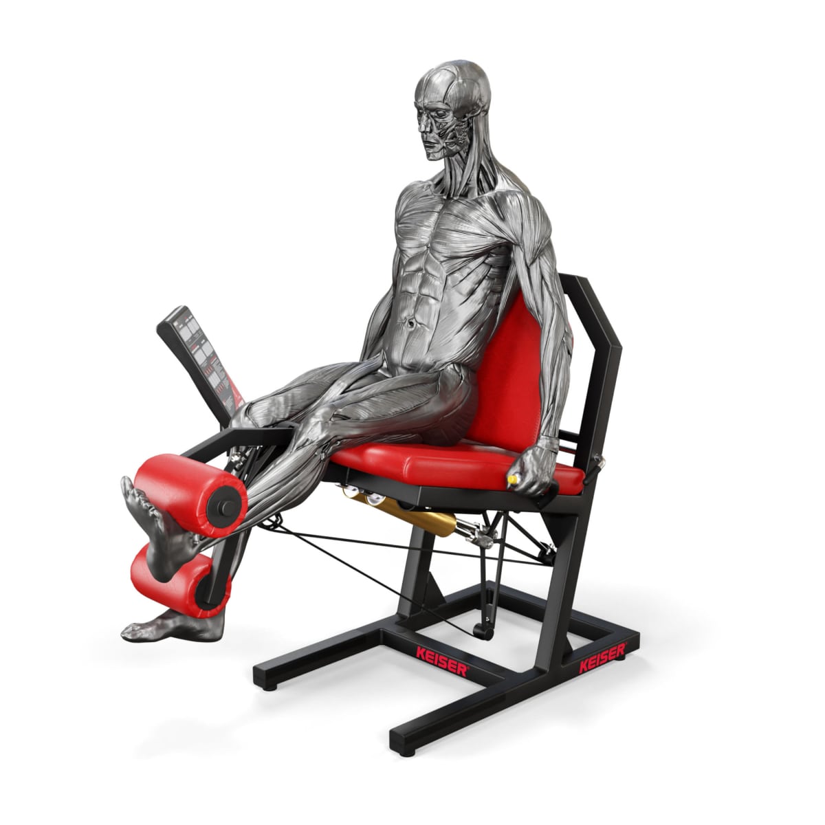 Keiser Air300 Leg Extension